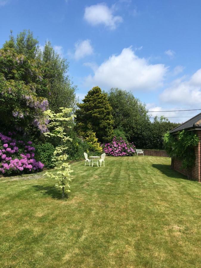 Oak Tree Cottage, Charming, Rural New Forest Home Boldre Exterior photo